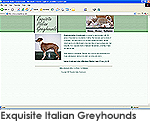 Exquisite Italian Greyhounds